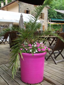 fleurissement_pots_1